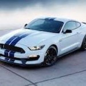 Meet your Posher, Calvin